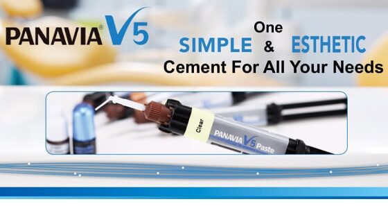 Case Study - PANAVIA V5 Presentation